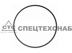 Кольцо уплотнительное диска (Ф180х2) Мультикорн, РИТМ SK12-07.00.018 - фото 14424