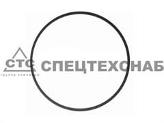 Кольцо уплотнительное диска (Ф180х2) Мультикорн, РИТМ SK12-07.00.018